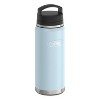 Thermos® Icon™ 40-Oz. Stainless Steel Dual-Temperature Beverage Bottle in Blue - 3 of 4