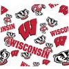 NCAA Wisconsin Badgers Tervis All Over Venture Water Bottle - 24oz - 2 of 4