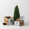 Sullivans Artificial Cedar Tree 22"H Green - 2 of 4