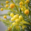 20.75"H Sullivans Acacia Fern Foliage Pick, Multicolored - 2 of 2