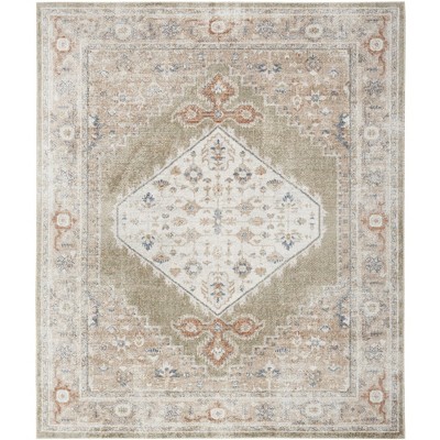 Nourison Washable Astra Vintage Persian Indoor Flatweave Area Rug