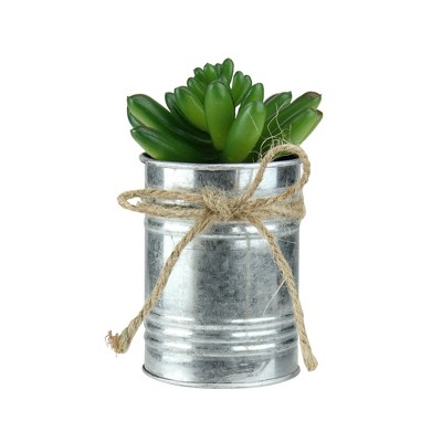 Northlight 5" Pachyveria Succulent Artificial Potted Plant - Green/Silver