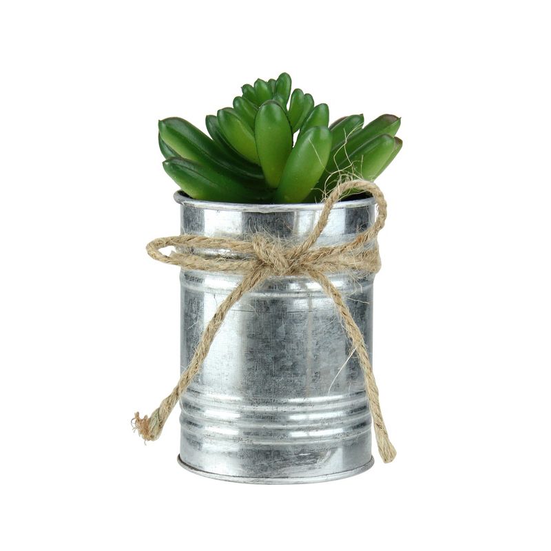 Northlight 5" Pachyveria Succulent Artificial Potted Plant - Green/Silver, 1 of 4