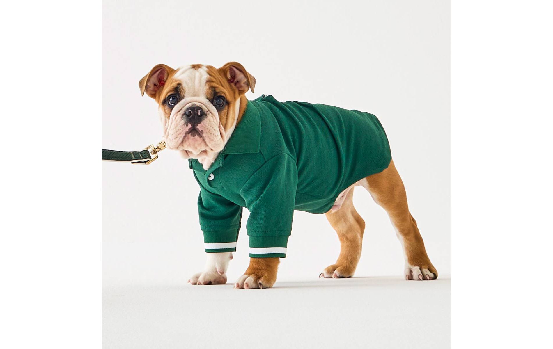 Hooray House Country Club Polo - Green