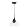 Hudson and Canal 10.75" Wide Pendant with Glass Shade - 4 of 4