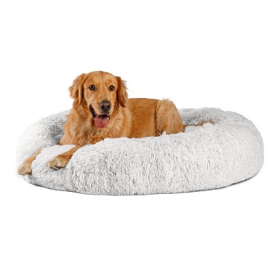 White dog deals bed