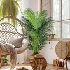 Boersma Tropical Palm Tree – 24 removable silk leaves, lush and realistic. Ideal for indoor/outdoor décor or as a stylish housewarming gift. - 3 of 4