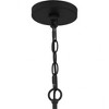 Quoizel Lighting Prescott 1 - Light Pendant in  Matte Black - 3 of 4