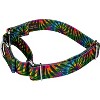 Country Brook Petz Martingale Dog Collar - Groovy Collection - 2 of 4