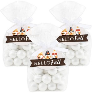 Big Dot of Happiness Fall Gnomes - Autumn Harvest Party Clear Goodie Favor Bags - Treat Bags With Tags - Set of 12 - 1 of 4