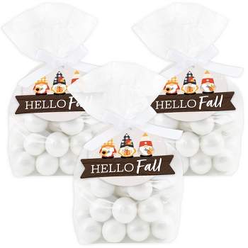 Big Dot of Happiness Fall Gnomes - Autumn Harvest Party Clear Goodie Favor Bags - Treat Bags With Tags - Set of 12