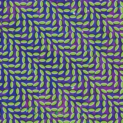  ANIMAL COLLECTIVE - Merriweather Post Pavilion (Vinyl) 