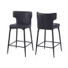 Modern PU Leather Height Bar Stool With Backrest Set of 2,With Sturdy Iron Legs,Modern Stool Bar,Height Counter Stool-Cuddlewood - 3 of 4