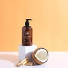 SoapBox - Coconut Milk & Sandalwood Liquid Hand Soap Deep Moisture 12 Oz - 3 of 4