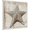 Amanti Art Aqua Marine Starfish IV by Sia Aryai Framed Wall Art Print - 2 of 4