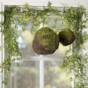 Sullivans Set of 2 Moss Orbs Decorative Filler 8"H & 5.5"H Green - 3 of 4