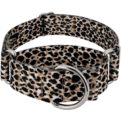 Cheetah hotsell dog collar