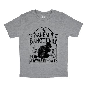 Youth Funny T Shirts Salems Sanctuary for Wayward Cats Sarcastic Halloween Kitten Graphic Novelty Tee For Kids - Crazy Dog Youth T Shirt For Halloween - 1 of 4