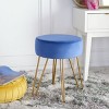 Abrea Round Ottoman  - Safavieh - 2 of 4