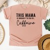 Simply Sage Market This Mama Is Brought To You By Caffeine Garment Dyed Tee - 3 of 4