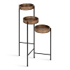 Kate and Laurel - Finn Metal Tri-Level Plant Stand - 2 of 4