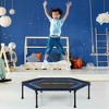Costway 50'' Hexagonal Fitness Trampoline Exercise Rebounder W/Pad for Kids Adults - 2 of 4