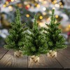 AuldHome Design Mini Christmas Trees, 3pk; Pine Tree Greenery Tabletop Holiday Decor - 2 of 4