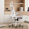 Lycvki Ergonomic Office Chair with High Back with Armrests and Adjustable Lumbar Support - 2 of 4
