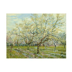Trademark Fine Art -Van Gogh 'The White Orchard' Canvas Art - 1 of 4