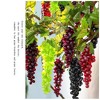 GAOMON Artificial Black Grapes - Lifelike Decorative Fruits for Party, Pub, Home, Garden, Wedding, and Photography Props - 4 of 4