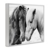 Stupell Industries Horse Love Duo Portrait, 30" x 24" - 3 of 4