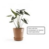 Ecopots Recycled Plastic Round Flower Pot Planter Saucer with Wheels - 3 of 4