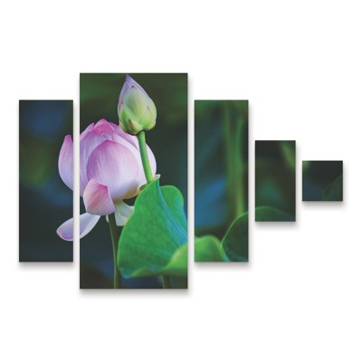 Trademark Fine Art Jenny Rainbow Fine Art Graceful Lotus 5 Piece Panel Set Art