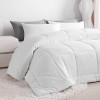 All Season Goose Down Alternative Duvet Comforter Insert - NTBAY - image 2 of 4