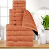 Premium Cotton Absorbent Luxury Weight Set by Blue Nile Mills - 2 of 4