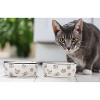Ceramic Pet Bowl – Cute Cat Dish for Food or Water, Whisker Friendly, Non-Slip, 16oz, Microwave and Dishwasher Safe, Cat Face Design - 3 of 4