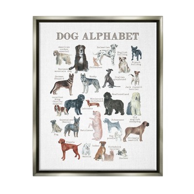 Stupell Industries Dog Alphabet Animal ABC's Framed Canvas
