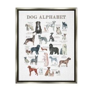 Stupell Industries Dog Alphabet Animal ABC's Framed Canvas - 1 of 3