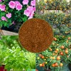 Soil Sunrise Dry Horticultural Molasses Powder, Indoor/Outdoor Gardening Soil Amendment for Plants - 3 of 4