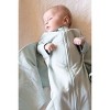 Butterfly 2-in-1 Swaddle and Transitional Sleep Sack - Green - 3 of 4