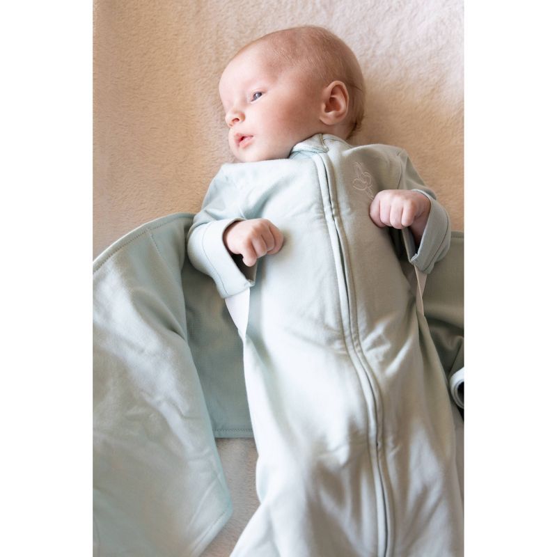 Butterfly 2-in-1 Swaddle and Transitional Sleep Sack - Green, 3 of 8