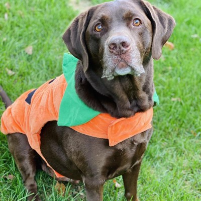 Target, Dog, Hyde Eek Boutique Referee Rufferee Dog Cat Halloween Costume  Size Small