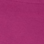 raspberry