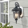 C Cattleya 1-Light Matte Black Aluminum Wall Lantern with Clear Glass - 2 of 4
