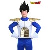 HalloweenCostumes.com Dragon Ball Z Saiyan Armor Adult Accessory - 3 of 3