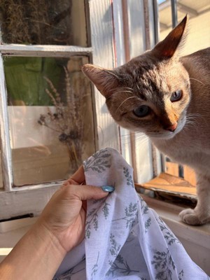 Guest review image 3 of 3, zoom in