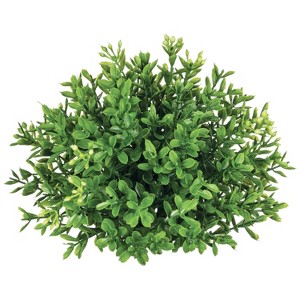 Sullivans New England Boxwood Half Orb Decorative Filler - 1 of 2