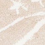 sand/ivory