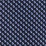 navy blue/white