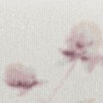 painted meadow ivory